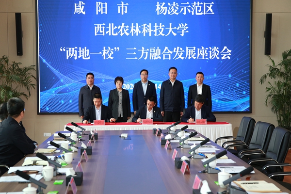bd2acf7f991c42cda2ddb7732fefd9ad.jpg